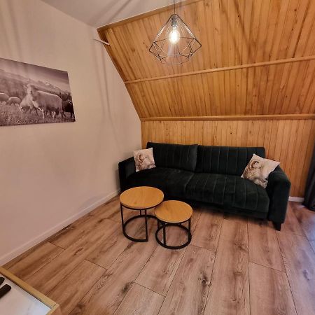 Apartament Klasyczny Z Widokiem Na Giewont コシチェリスコ エクステリア 写真