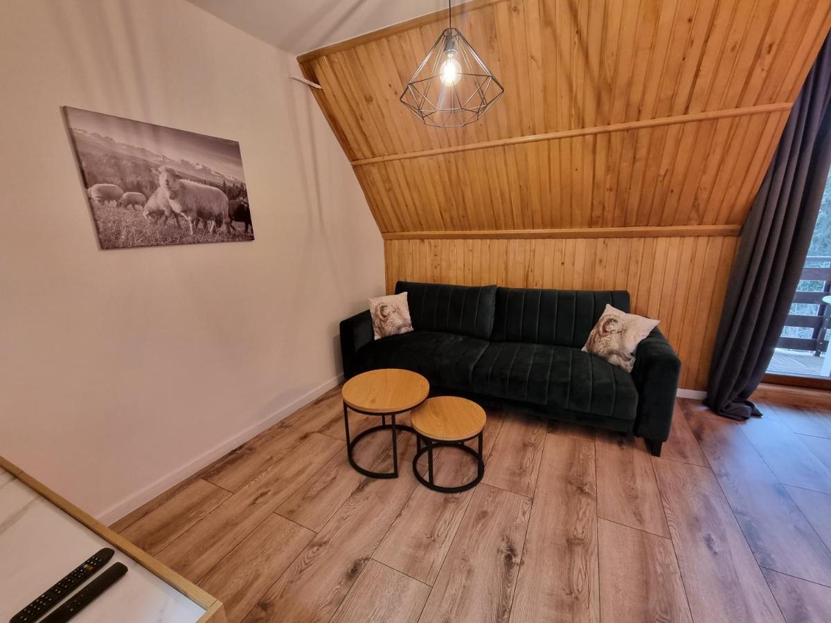 Apartament Klasyczny Z Widokiem Na Giewont コシチェリスコ エクステリア 写真