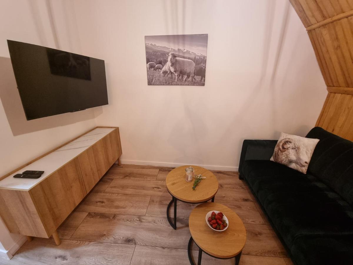 Apartament Klasyczny Z Widokiem Na Giewont コシチェリスコ エクステリア 写真
