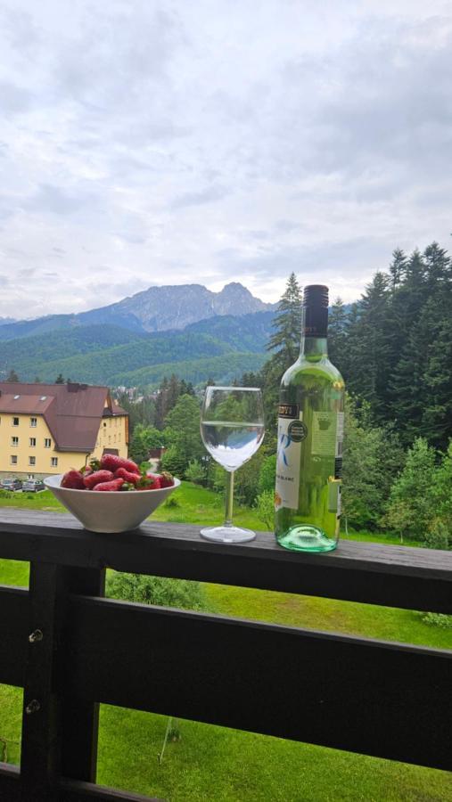 Apartament Klasyczny Z Widokiem Na Giewont コシチェリスコ エクステリア 写真