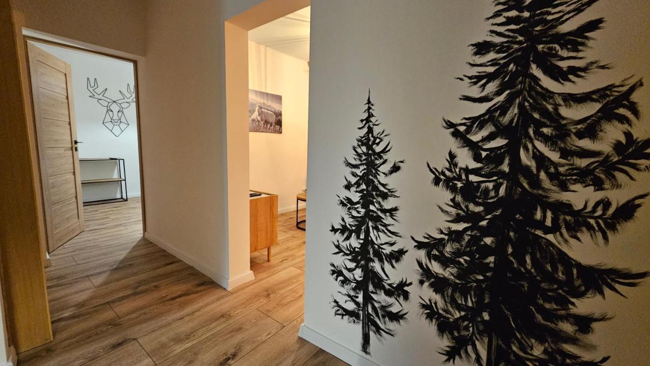 Apartament Klasyczny Z Widokiem Na Giewont コシチェリスコ エクステリア 写真